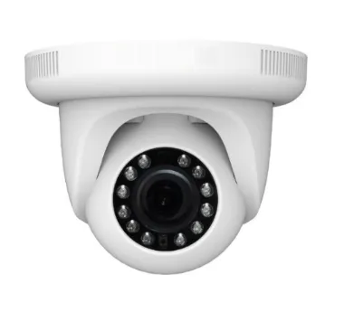 2MP Fixed-Focal Eyeball  Network Camera